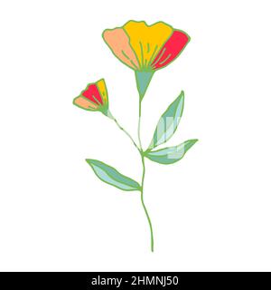 Colorful hand drawn spring flower on white background. Flower Doodle vector illustration. Spring season. Summer style. Botanical poster. Stock Vector