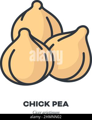 Chick peas legume vegetable icon, outline with color fill style vector illustration Stock Vector