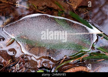 Piece of ice packed with tiny air bubbles in closeup Stock Photo