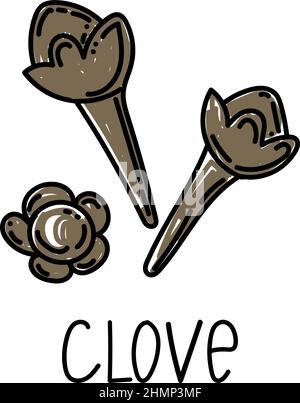 Spice cloves, hand-drawn doodle style element. Logo and emblem packaging design template - spices - cloves. Logo. Stock Vector