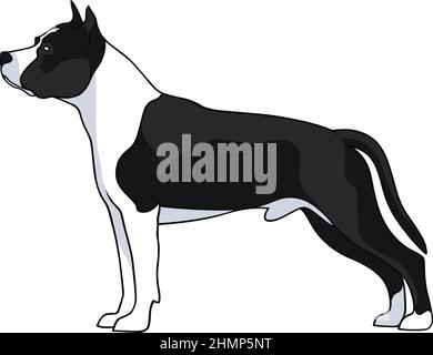 Simple Vector of AmStaff Dog Stock Vector