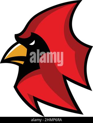 Red cardinal bird logo head vector illustration, suitable for the sports  team mascot logo and e sports team Stock Vector Image & Art - Alamy