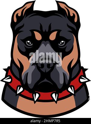 American Bully XL with Spiked Studded Collar Dog Breed Stock Vector