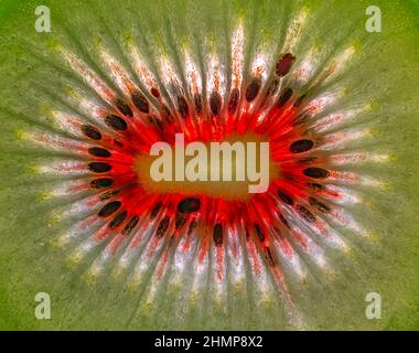 Close up Kiwi Fruit, background of cut kiwi fruit Stock Photo