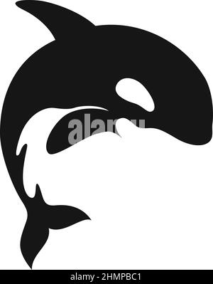 Simple Vector of Killer Whale Jumping out of Surface Stock Vector