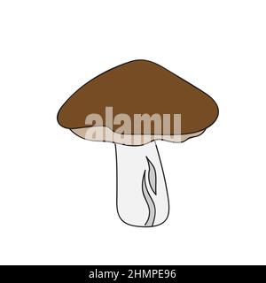 Boletus mushroom in simple hand drawn style. Vector illustration of edible wild forest mushroom. Autumn symbol, organic food icon Stock Vector