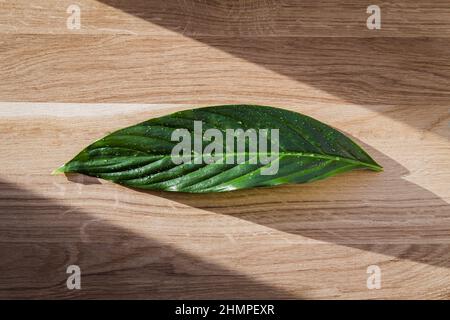 Flat lay view of green peace lily leaf with water drops and in sunlight on oak tree wood board background. Stock Photo