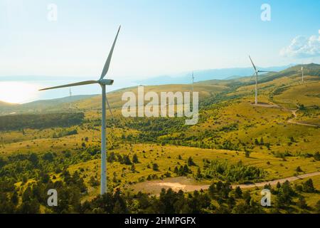 Wind machines produce alternative energy near Adriatic sea at electric windmill farm in highland covered with rare forests in morning aerial view Stock Photo