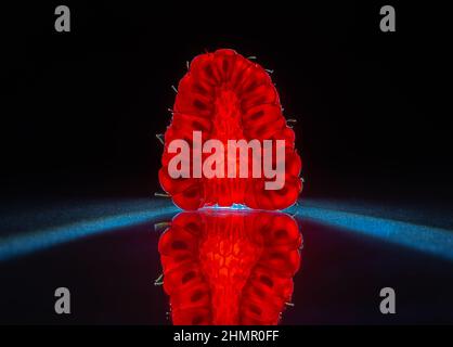 Slice of a raspberry isolated in dark black background with reflection, perfect symmetry Stock Photo