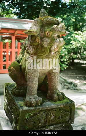 Vertical shot of the Japanese demon dog statue covered with green