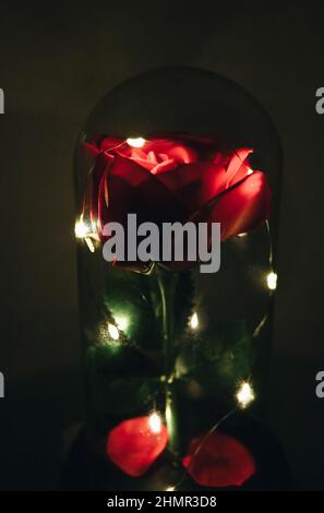 Red rose in glass flask with illumination close up, romantic love gift Stock Photo