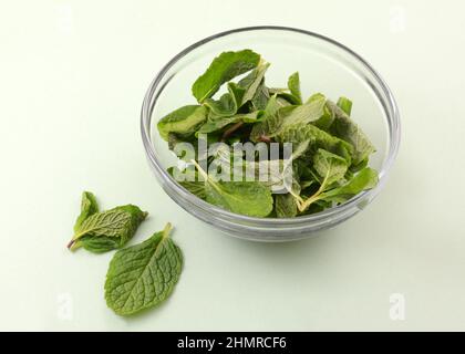 Fresh green raw mint leaves in glass bowl on light green background Stock Photo