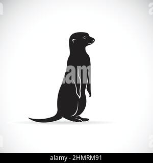 Vector of meerkats design on white background. Wild Animals. Easy editable layered vector illustration. Stock Vector