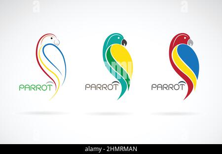 Parrot Bird Colorful Flat Logo Corporate Vector Illustration Stock ...