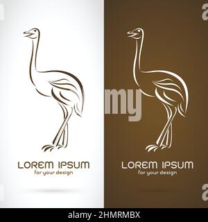 Vector image of ostrich design on white background and brown background, Logo, Symbol. Easy editable layered vector illustration. Stock Vector