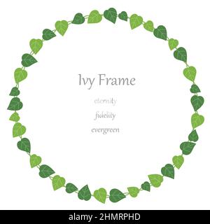 Round ivy frame isolated on a white background. Vector illustration. Stock Vector