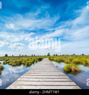 boardwalk over a bog lake with Blue Cloudy Sky Stock Photo