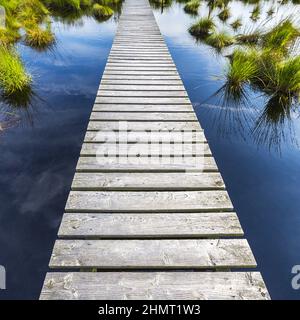 boardwalk over a bog lake with Blue Cloudy Sky Stock Photo
