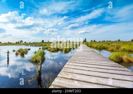 boardwalk over a bog lake with Blue Cloudy Sky Stock Photo