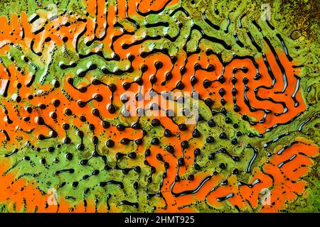 Abstract ART. Swirls, artistic design with colorful oil colors forming amazing intricate structures with ferrofluid. Stock Photo