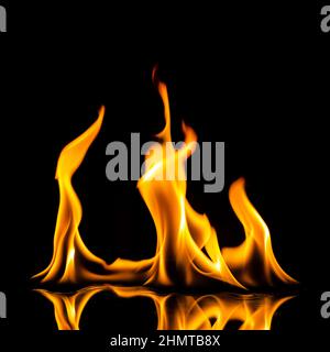 fire flames with reflection on black background Stock Photo