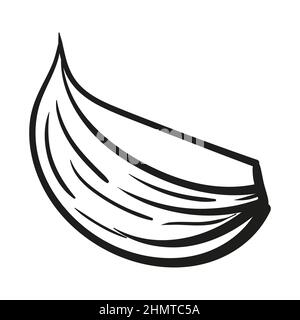 Garlic - vector illustration in sketch style. Head of garlic, cloves, cloves, bunch, cut garlic. Linear black and white drawing. Ingredients for cooking, vegetables. Stock Vector