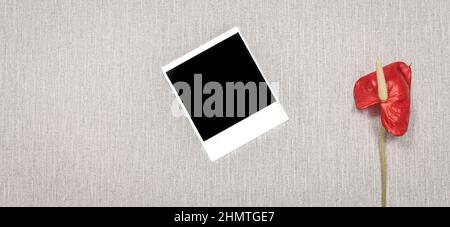 Empty polaroid picture on a grey background. Stock Photo