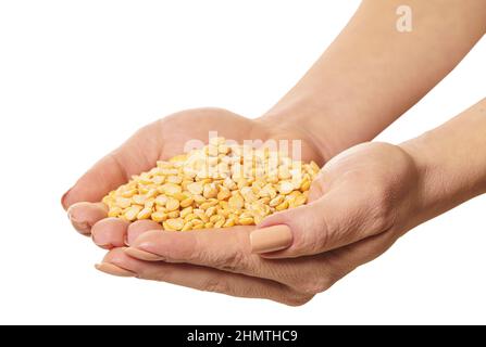 raw peas in hands on a white isolated background Stock Photo