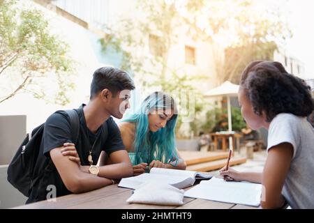 Focused on our studying Stock Photo