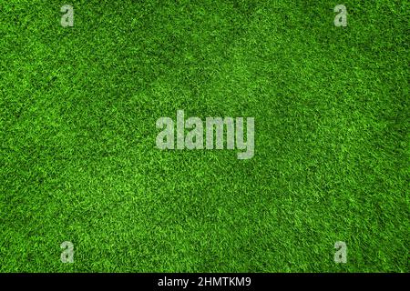Textured high quality background of freshly cut green lawn. Stock Photo
