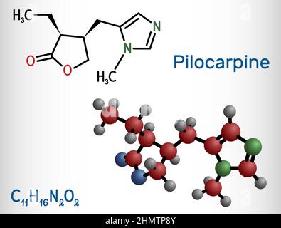 Pilocarpine molecule. It is natural alkaloid, used on the eye to treat elevated intraocular pressure, glaucoma. Structural chemical formula and molecu Stock Vector