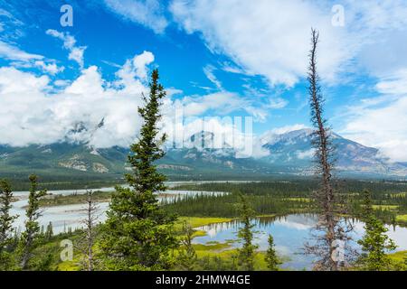 Valley of Saskatchewan River in Canadian Rockies jasper canada Stock Photo