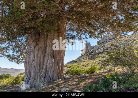 A country of stones, Taşeli Plateau. Taşeli Plateau is a karstic plateau rising between Antalya and Mersin provinces in the Mediterranean Region of ou Stock Photo