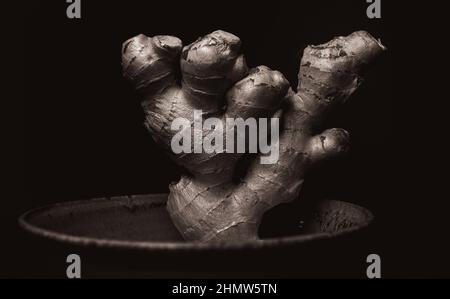 Ginger radix closeup on dark backround Stock Photo