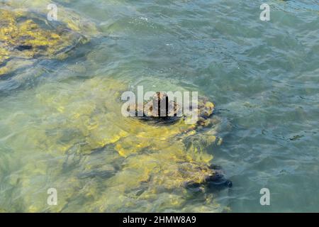 Rameswaram - A Beautiful Island in Tamilnadu Stock Photo