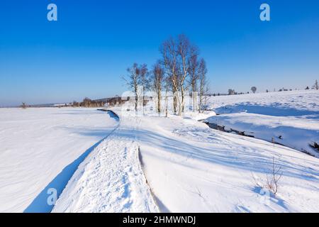 Winter in the High Fens at Baraque Michel Stock Photo