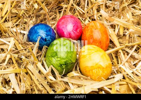 colorful easter eggs in a nest Stock Photo