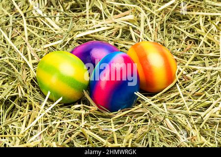 colorful easter eggs in a hay nest Stock Photo