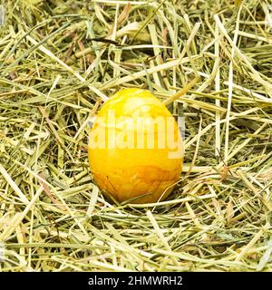 golden easter egg on hay Stock Photo