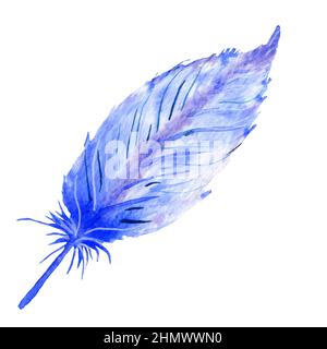 Set of watercolor blue feathers. Boho style. Hand-drawn ornament Stock  Photo - Alamy