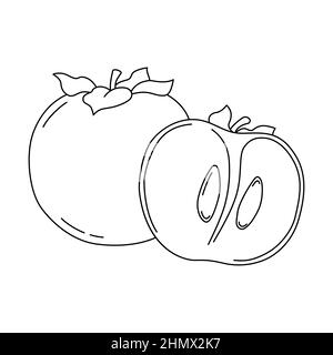 Vector illustration of a persimmon for coloring book. Half of persimmon in cartoon style. Isolated on white background Stock Vector
