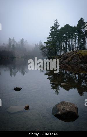 Tarn Howe, Coniston, Lake District, Cumbria, UK captured in foggy weather during winter on 18th January 2022 Stock Photo