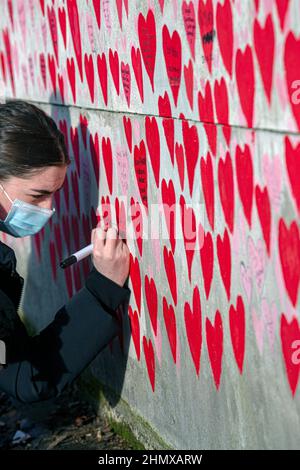 Young female writing names on The National COVID Memorial Wall painted with red hearts on beautiful sunny day . Westminster, London , UK .