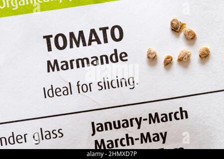 Marmande tomato seeds. Stock Photo