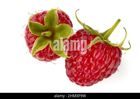 Two ripe raspberries with cuttings close-up. Isolated on white background Stock Photo