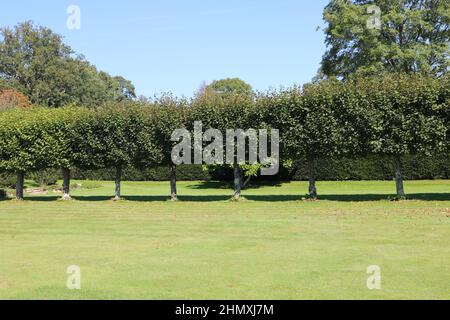 Batemans , Burwash , East Sussex Stock Photo