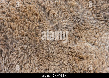 Camel pattern design. Real fur Skin texture. Animal print pattern tile background Stock Photo