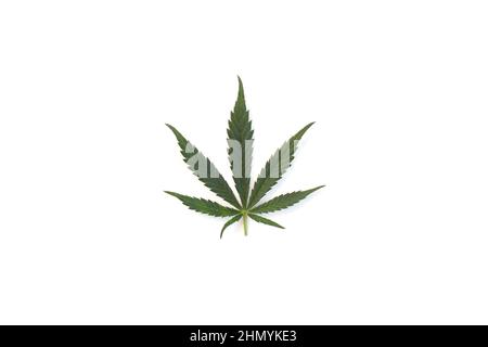 Perfect Cannabis Leaf isolated on white background. Marijuana leaf photo Stock Photo