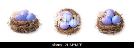Three nests with purple Easter eggs in different angles. The concept of Easter. Stock Photo