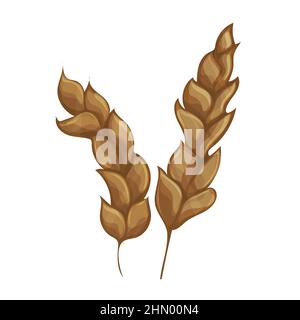 Ears of wheat or rice. Agricultural wheat spikelets symbols isolated on white background in cartoon style. Wheat spikelets vector. Stock Vector